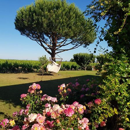 Entre Loire Et Vignobles Bed and Breakfast Liré Buitenkant foto
