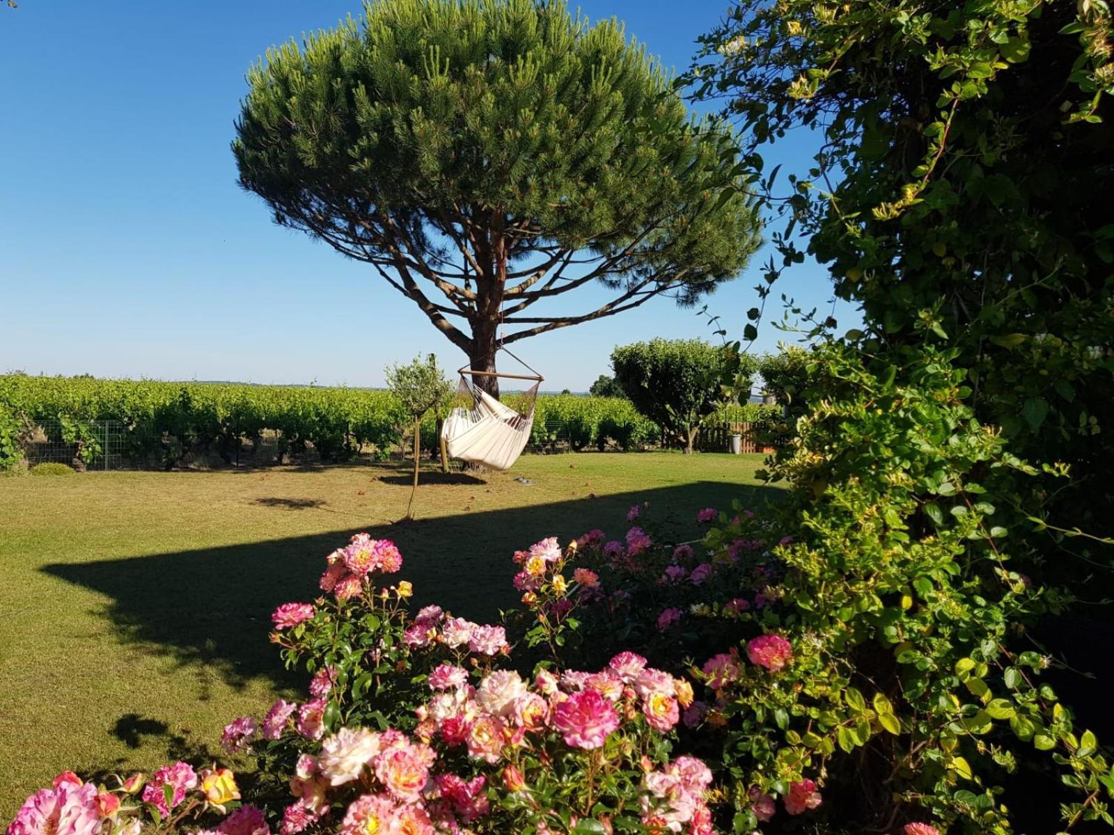 Entre Loire Et Vignobles Bed and Breakfast Liré Buitenkant foto